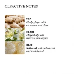 MOLTON BROWN Heavenly Gingerlily Hand Lotion 300 Ml -Molton Brown Verkaufs-Shop 1309722 MOLTON BROWN Heavenly Gingerlily Hand Lotion 300 ml.9e19d409