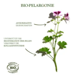 Sanoflore Creme Merveilleuse 40 Ml 8 Sanoflore Creme Merveilleuse 40 Ml -Molton Brown Verkaufs-Shop 1364987 Sanoflore Creme merveilleuse 40 ml.67820ba2