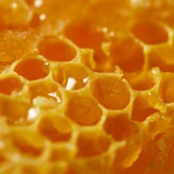 NUXE Rêve De Miel Intensiv Beruhigender Gesichtsbalsam 50 Ml -Molton Brown Verkaufs-Shop 1379984 NUXE Reve de Miel Intensiv beruhigender Gesichtsbalsam 50 ml.241a36b4