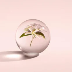 MOLTON BROWN Jasmine & Sun Rose Bath & Shower Gel 300 Ml -Molton Brown Verkaufs-Shop 1394029 MOLTON BROWN Jasmine Sun Rose Bath Shower Gel 300 ml.23ee2910