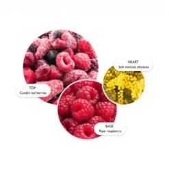 MOLTON BROWN Merry Berries & Mimosa Body Lotion 300 Ml -Molton Brown Verkaufs-Shop 1469231 MOLTON BROWN Merry Berries Mimosa Body Lotion 300 ml.534c1018