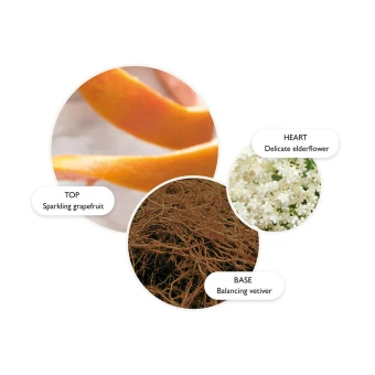 MOLTON BROWN Vintage With Elderflower Hand Lotion 300 Ml 3 MOLTON BROWN Vintage With Elderflower Hand Lotion 300 Ml – Bild 3