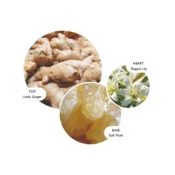 MOLTON BROWN Heavenly Gingerlily Hand Care Gift Set -Molton Brown Verkaufs-Shop 1469495 MOLTON BROWN Heavenly Gingerlily Hand Care Gift Set.992dbfc0