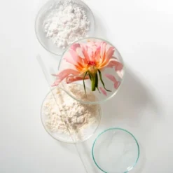 NOBLE PANACEA THE ELEMENTAL Cleansing Balm And Exfoliating Refiner Refill Pro Packung 30 Stück -Molton Brown Verkaufs-Shop 2580667 NOBLE PANACEA THE ELEMENTAL Cleansing Balm and Exfoliating Refiner Refill Pro Packung 30 St.2ccbb147